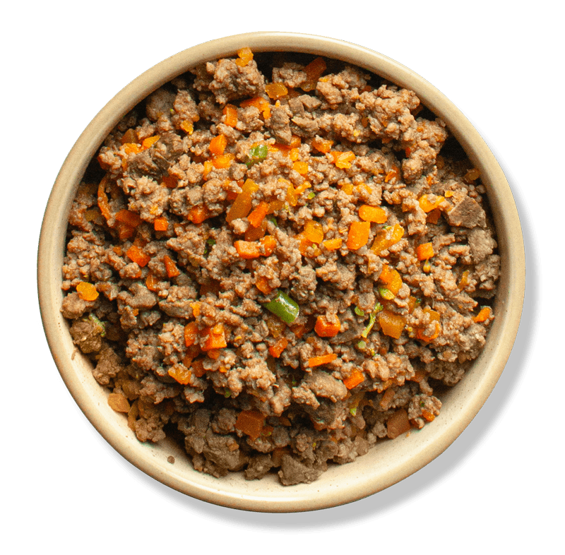 Pawzi fresh cooked dog food bowl